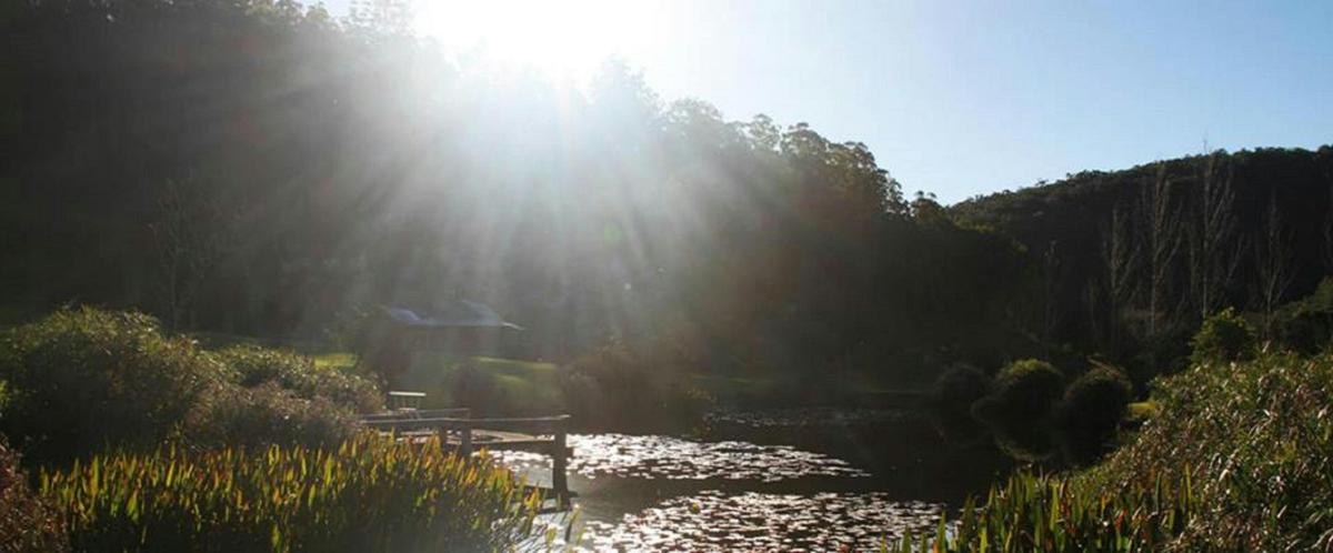 Blair Athol Estate