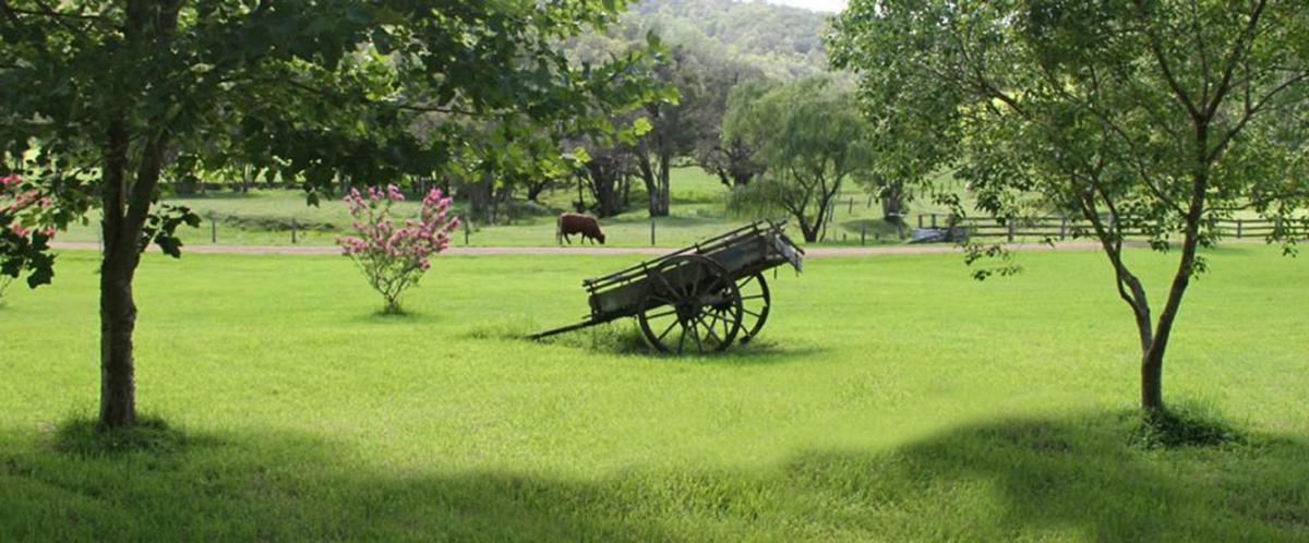 Blair Athol Estate