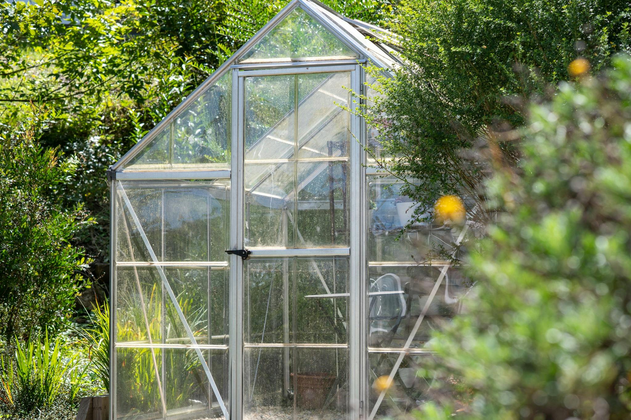 Enjoy exploring our garden including the succulent glasshouse.