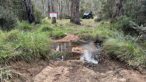 Brown Mountain Serenity