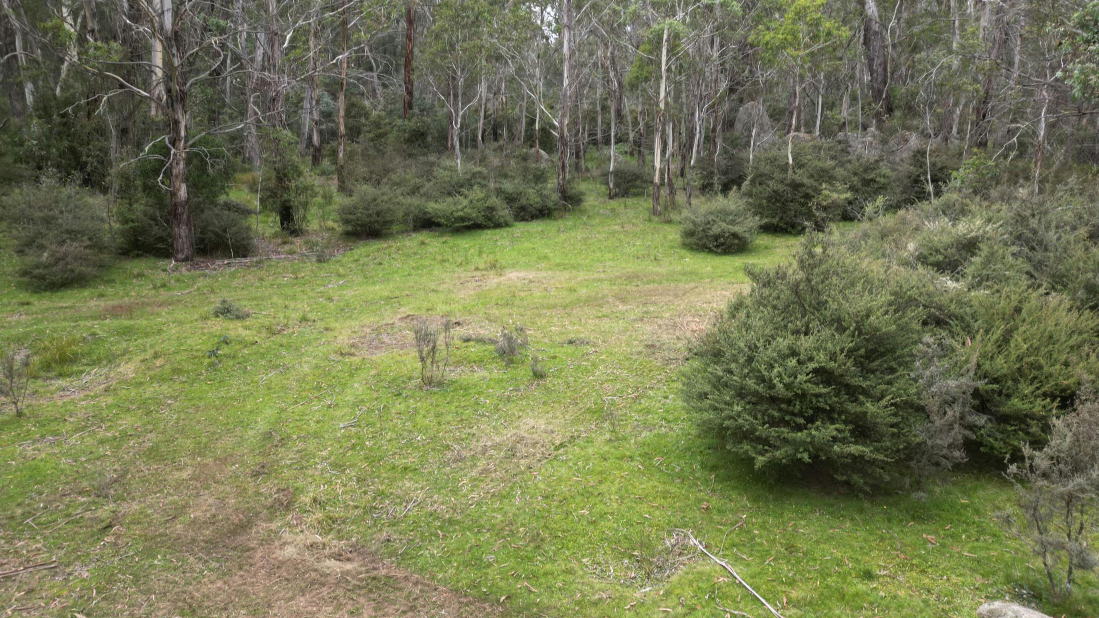 Brown Mountain Serenity