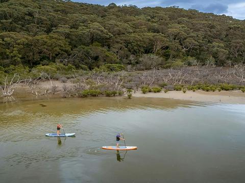Two people stand up paddle boarding on the Hacking River near Bonnie Vale campground. Credit: John