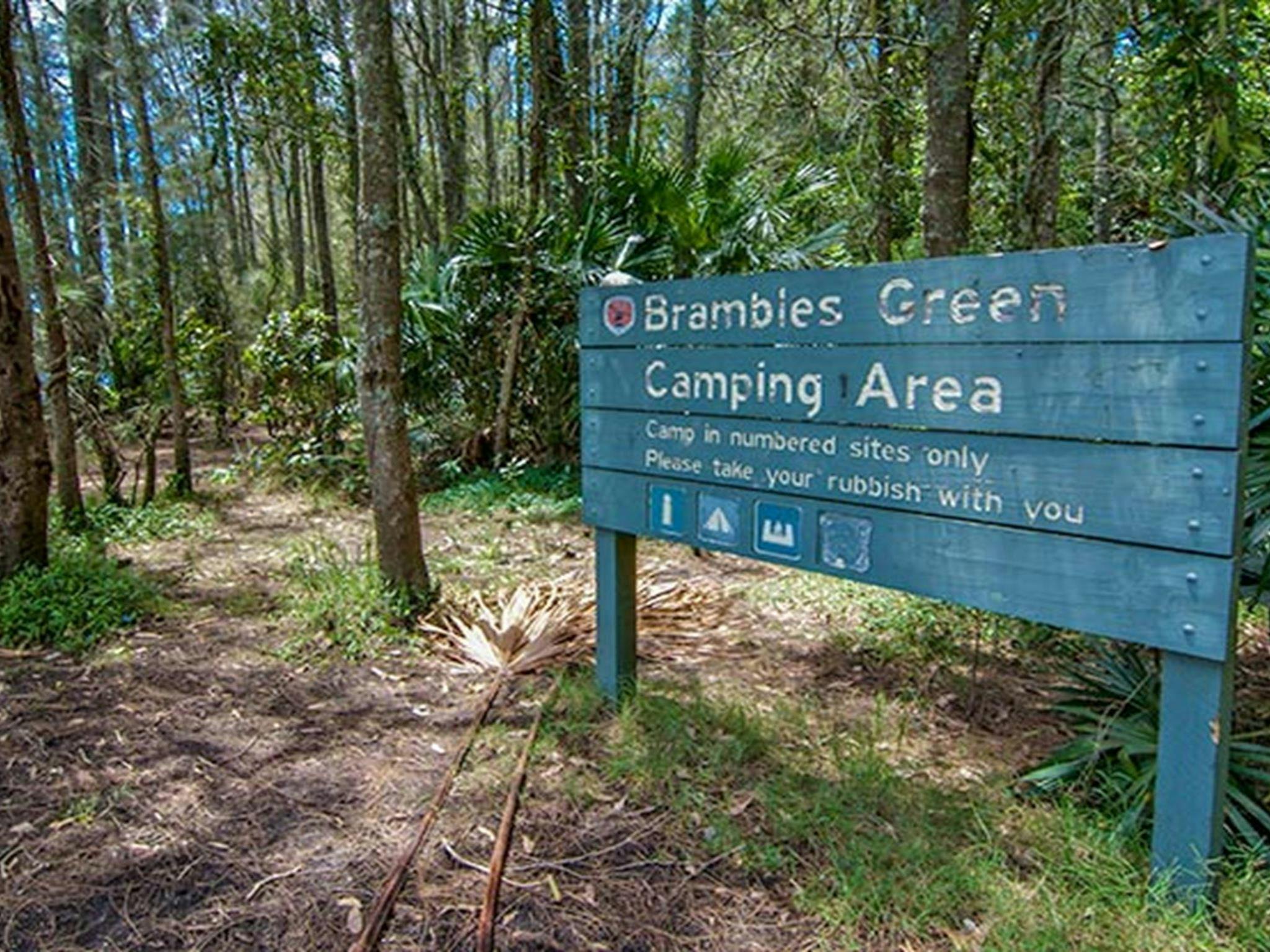 Brambles Green Campground, Myall Lakes National Park. Photo: John Spencer/DPIE