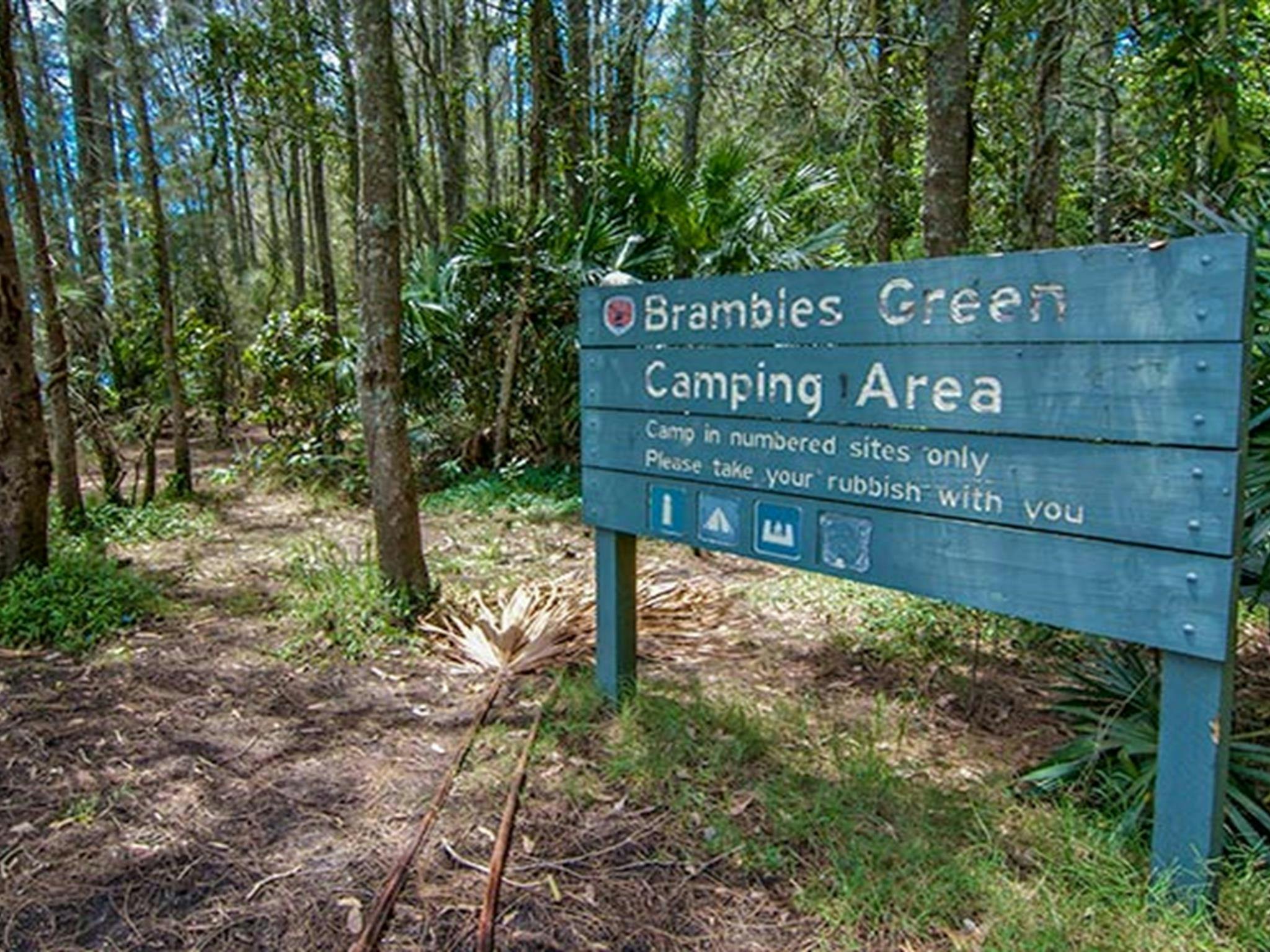 Brambles Green Campground, Myall Lakes National Park. Photo: John Spencer/DPIE