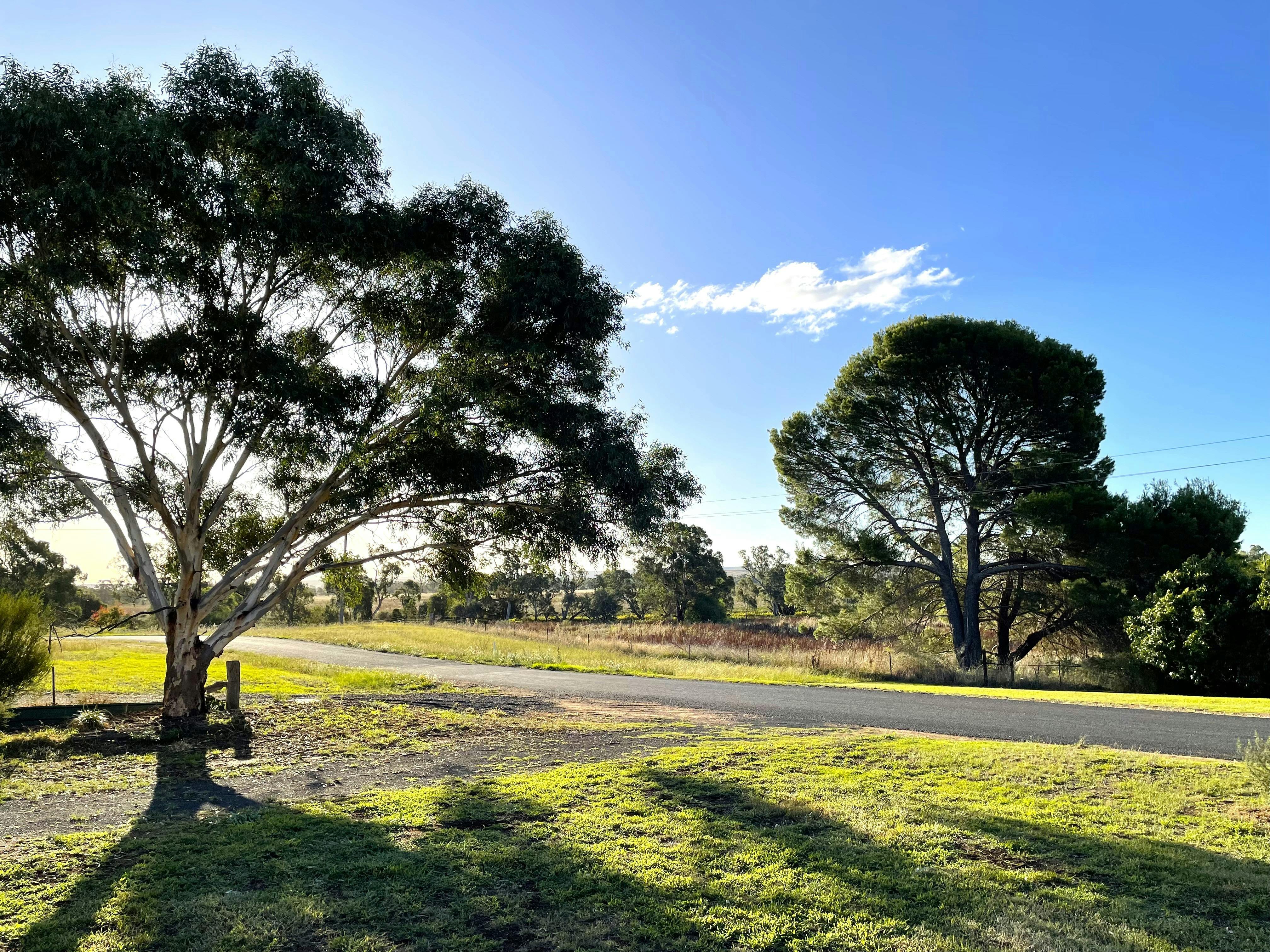 Verandah view over Talbragar River banks