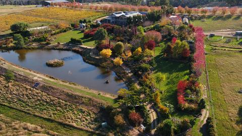 Braymont House