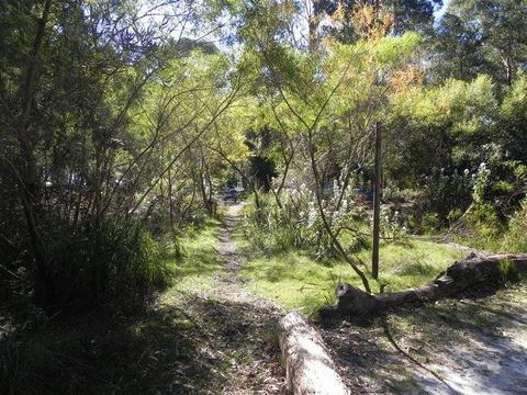 Tent sites