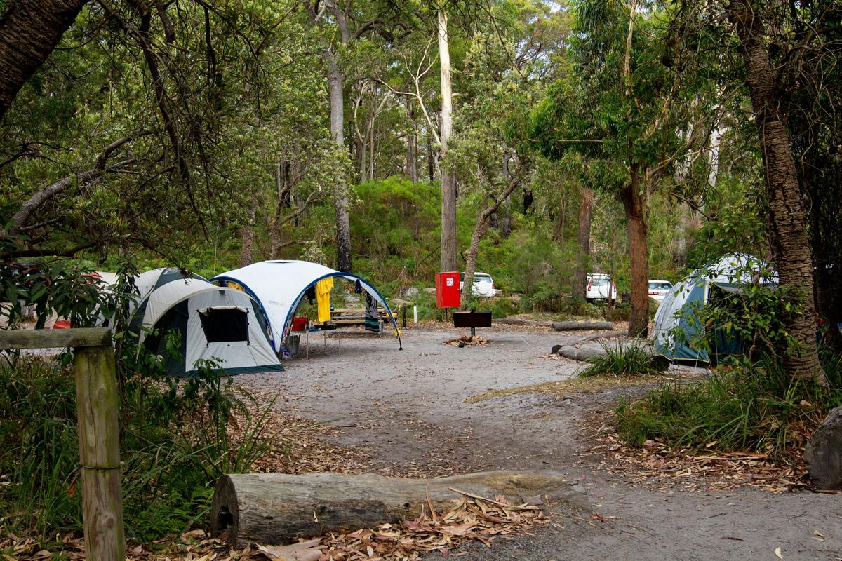 Bristol Point campground, Booderee National Park