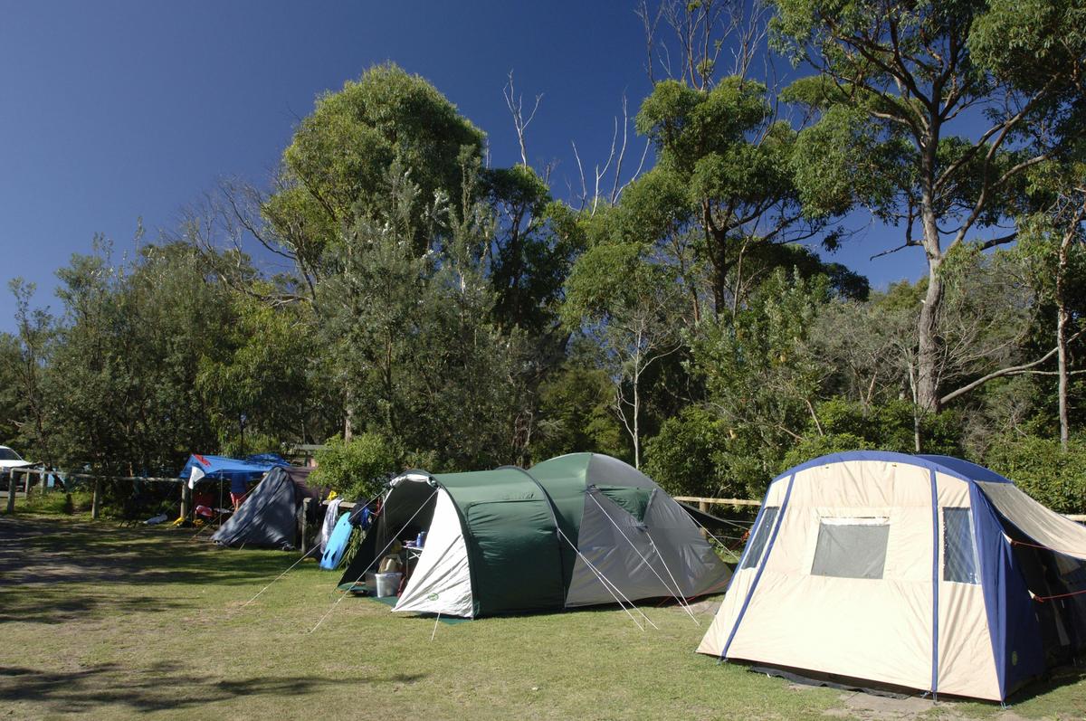 Cave Beach campground, Booderee National Park