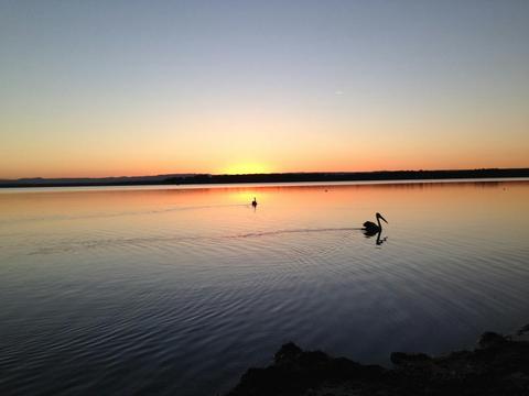 Bream Beach Caravan Park