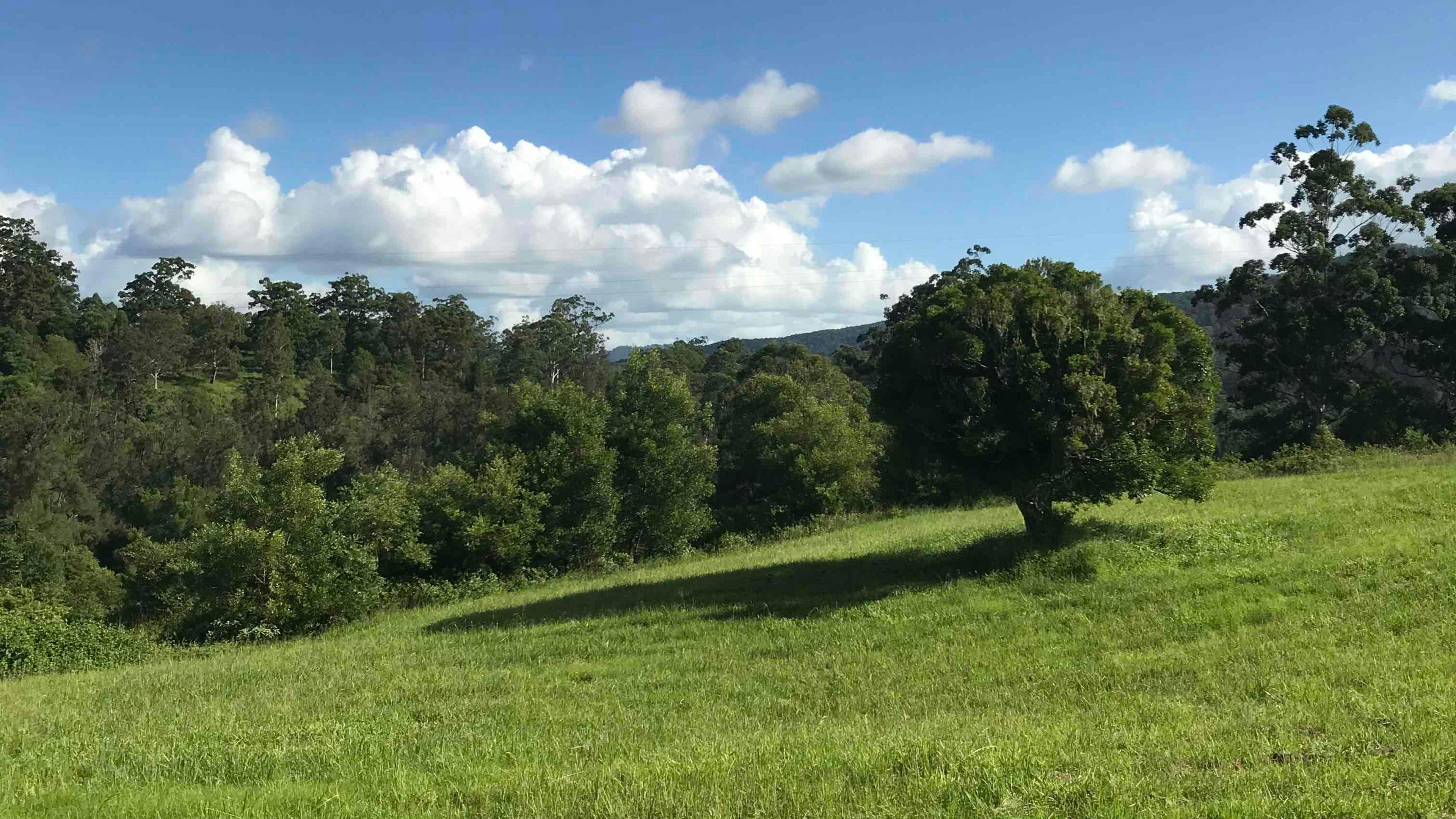 Border Ranges Farm Stay