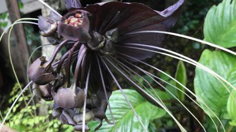 Border Ranges Farm Stay