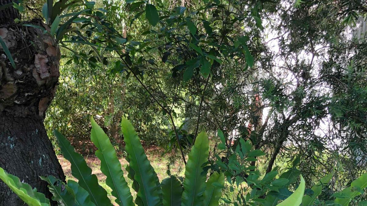 Border Ranges Farm Stay