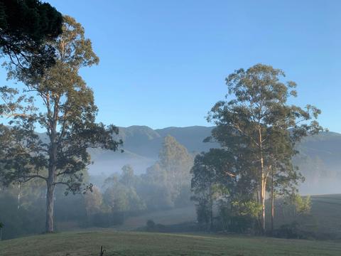 Blue Gum Retreat