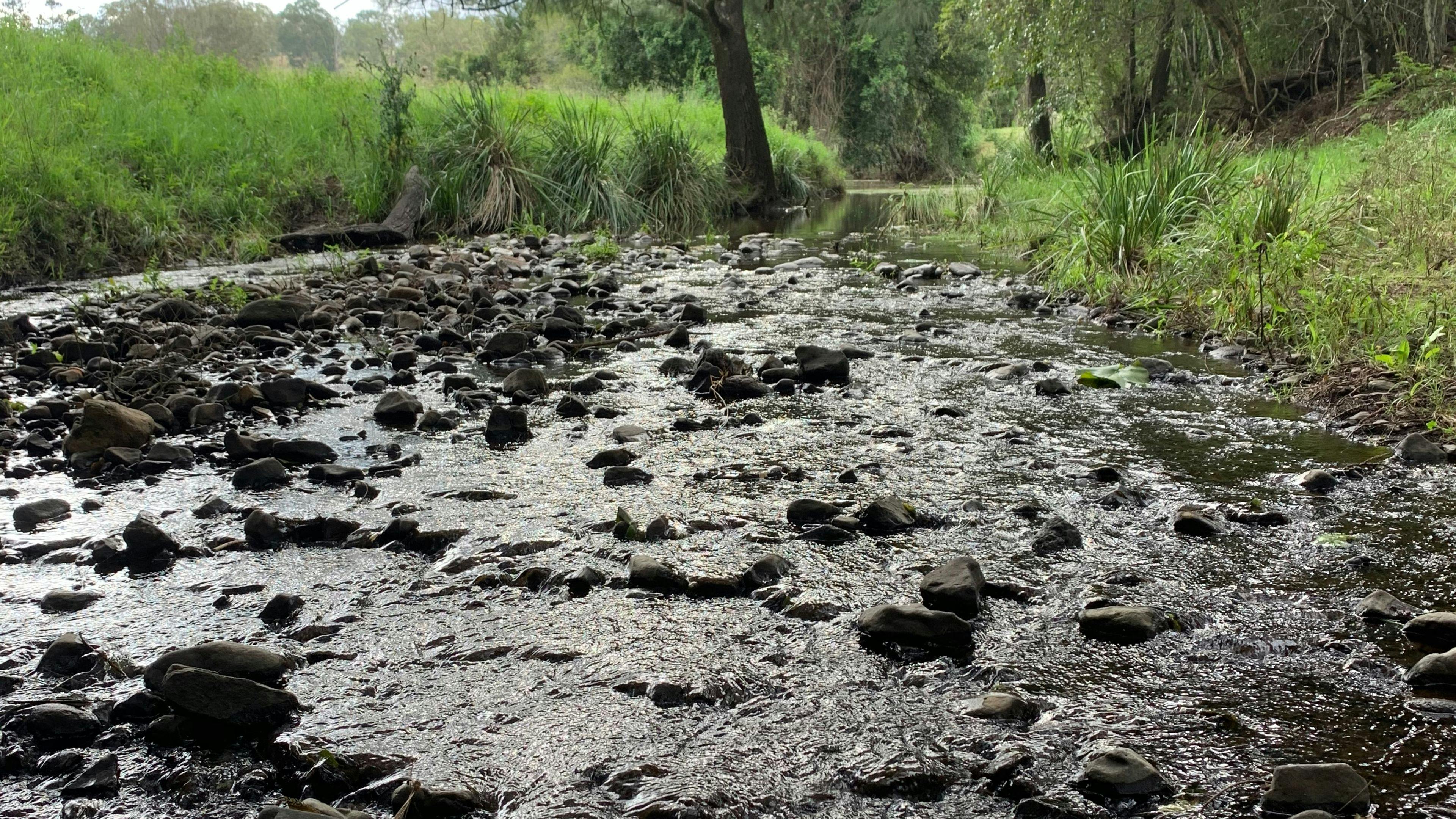 Botfield Farms @ Mummulgum