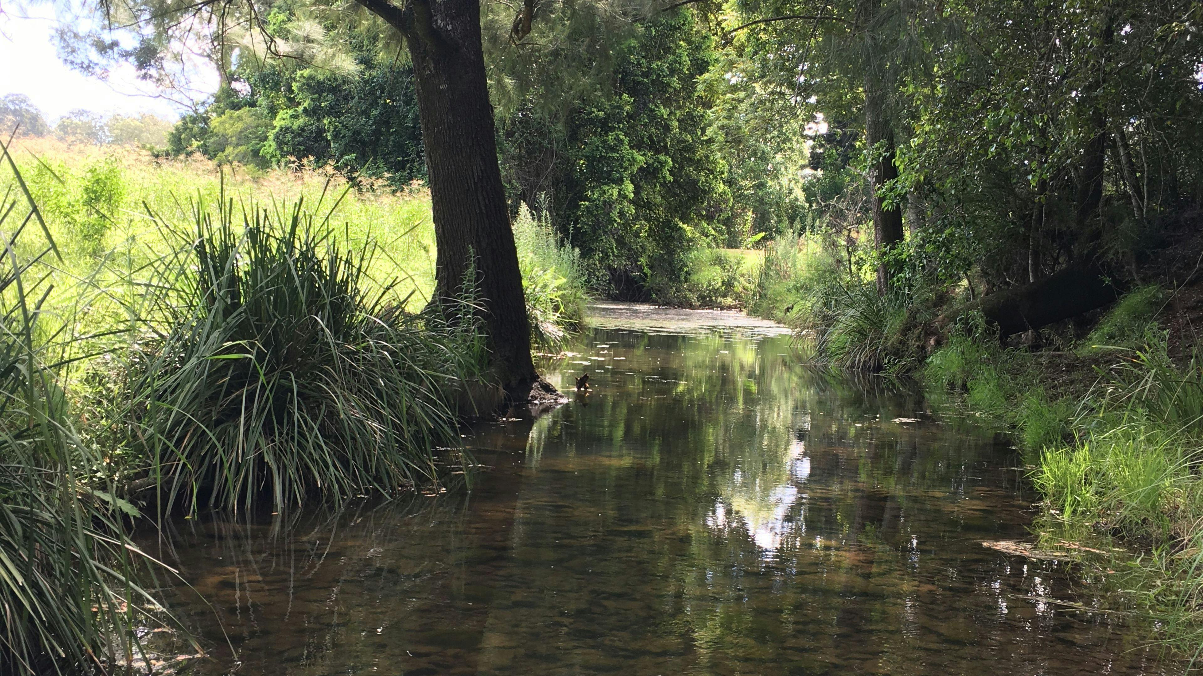 Deeper part of creek