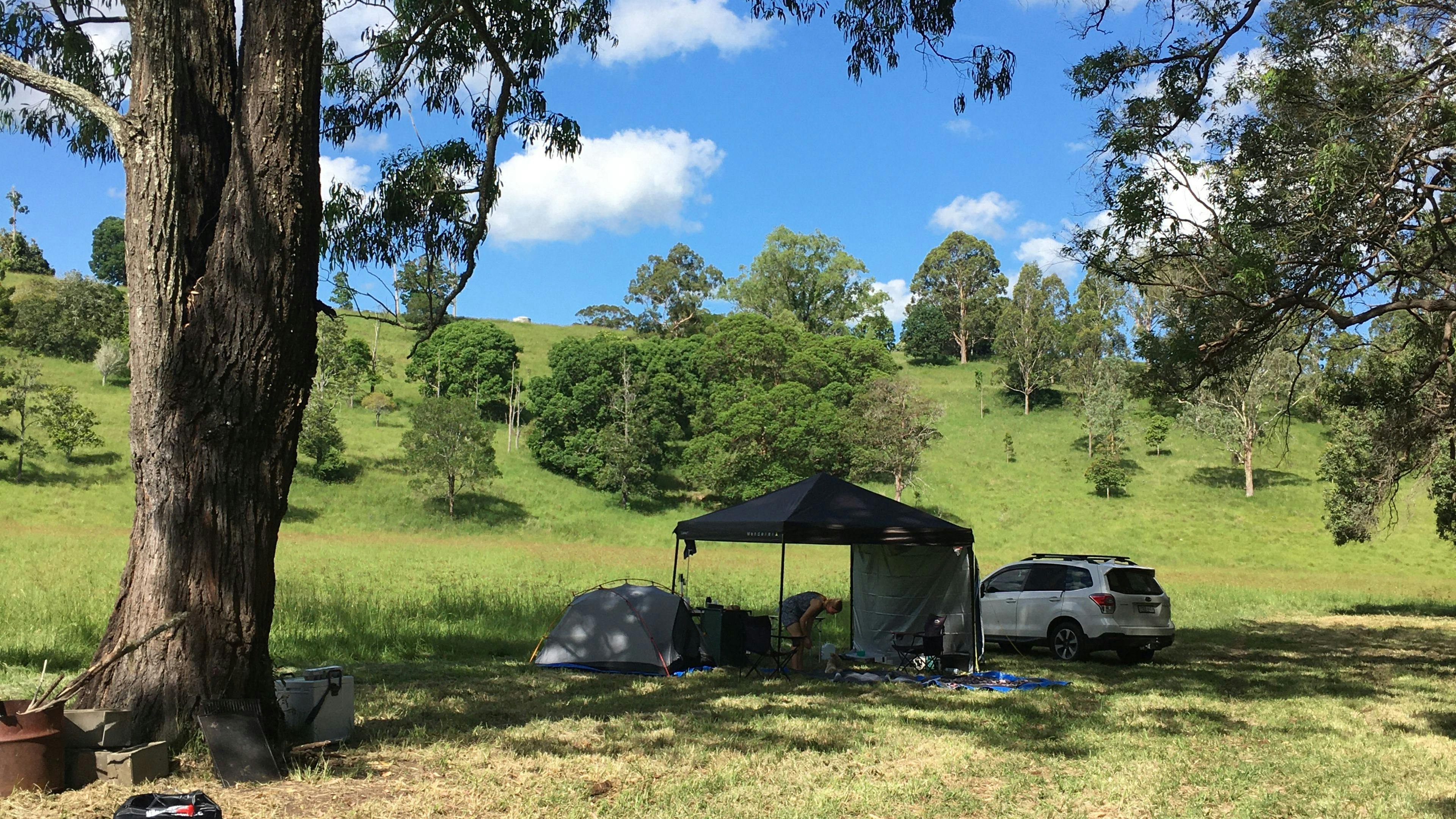 Campsite under shade of tree