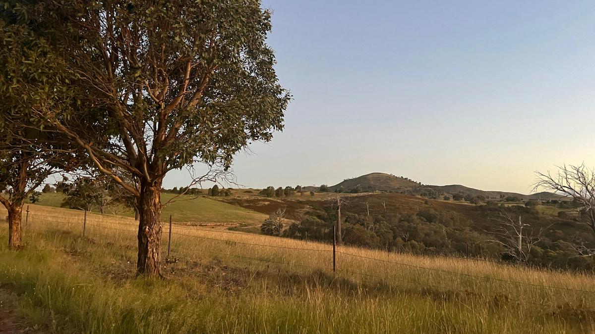 Burrendah Farm Camp
