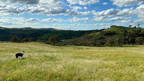 Burrendah Farm Camp