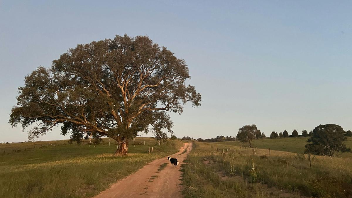 Burrendah Farm Camp