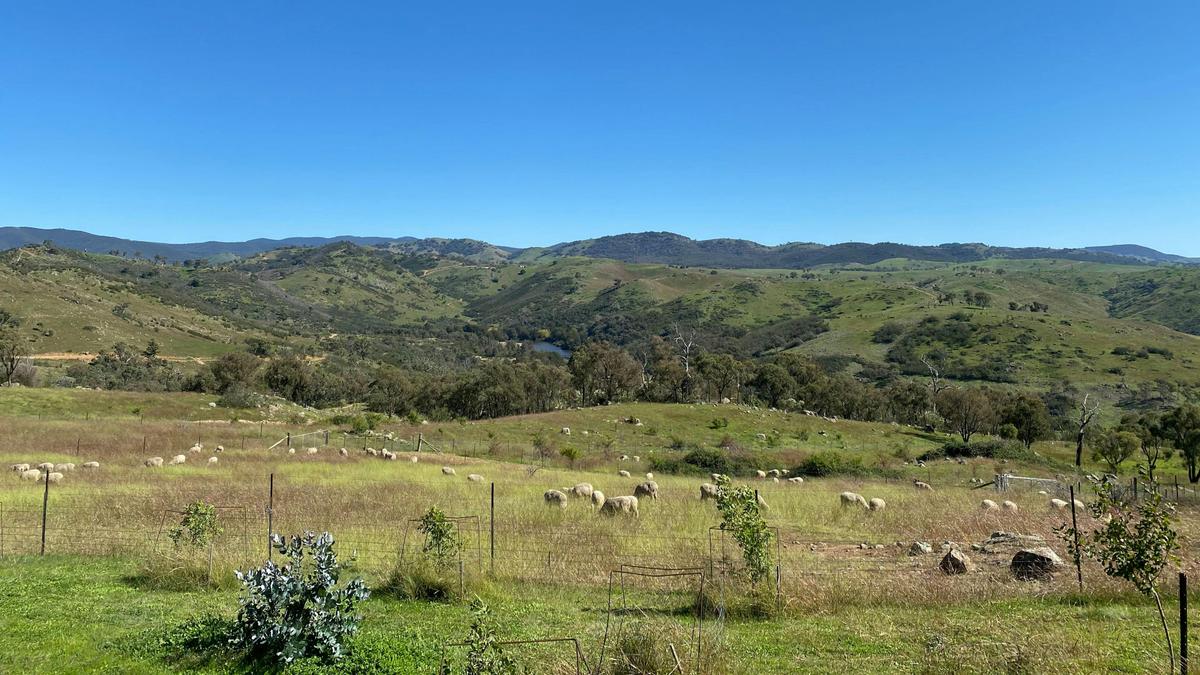 Burrendah Farm Camp