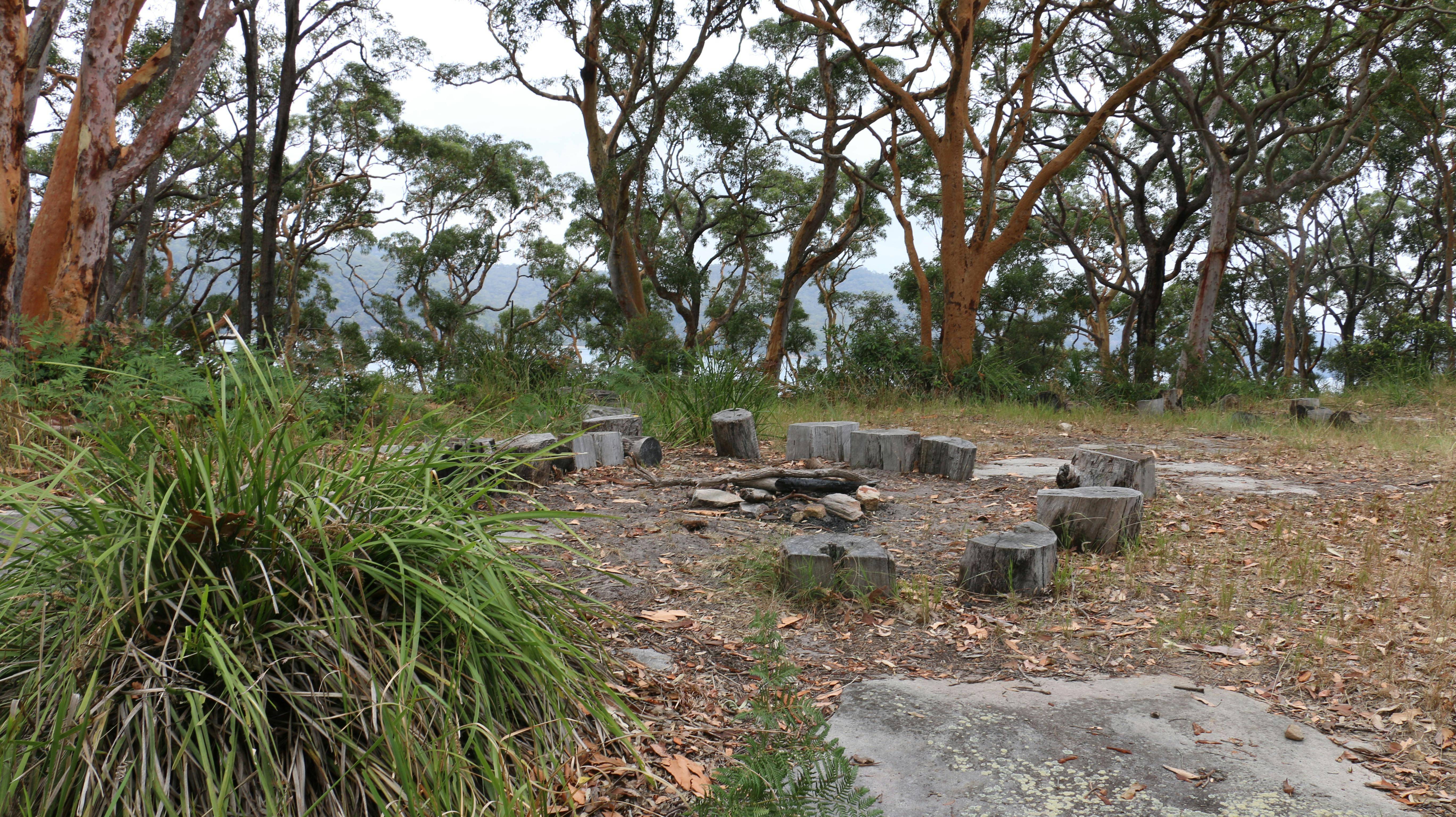 Campfire Circle