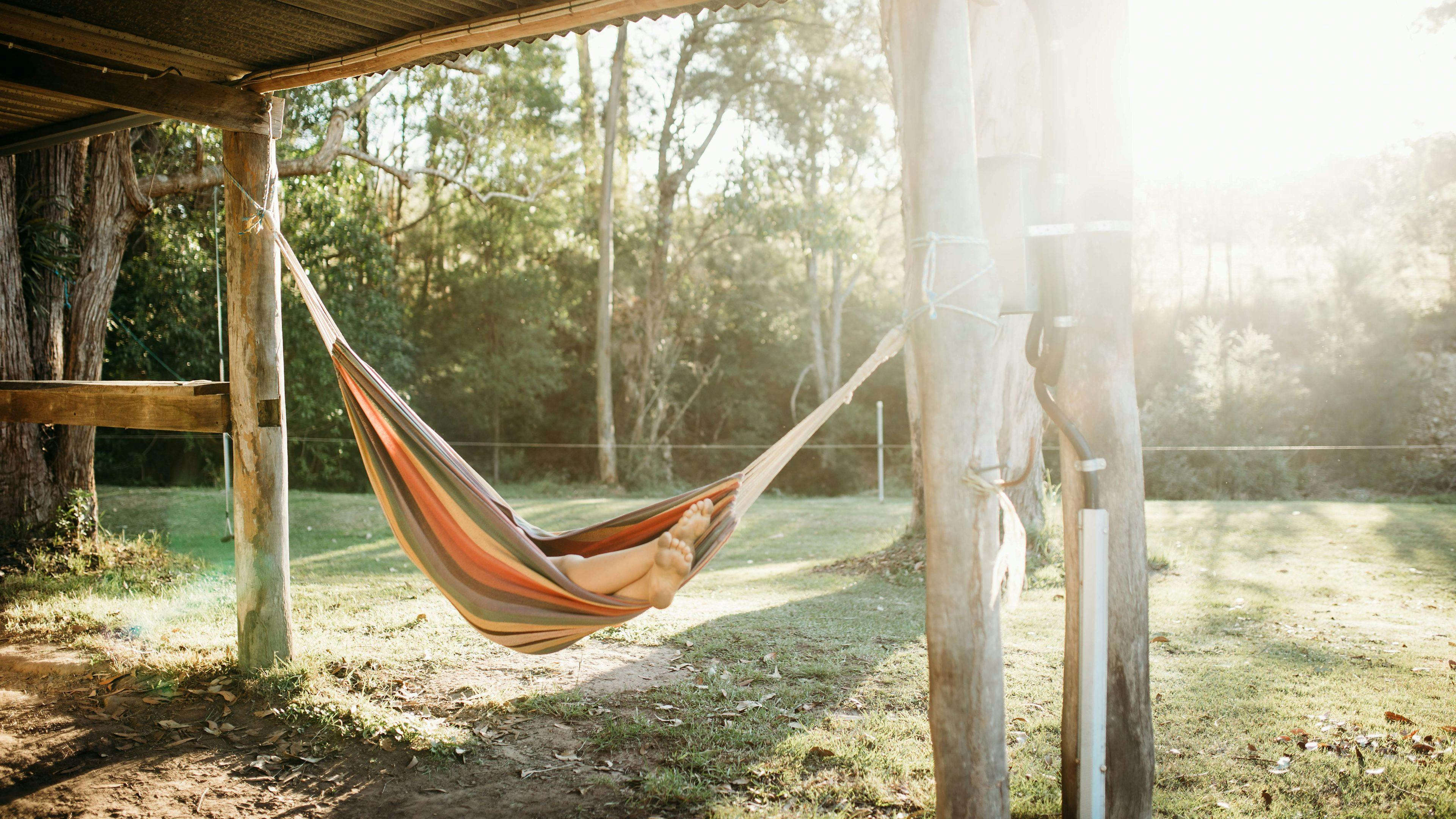 Bush Paddock near Stroud