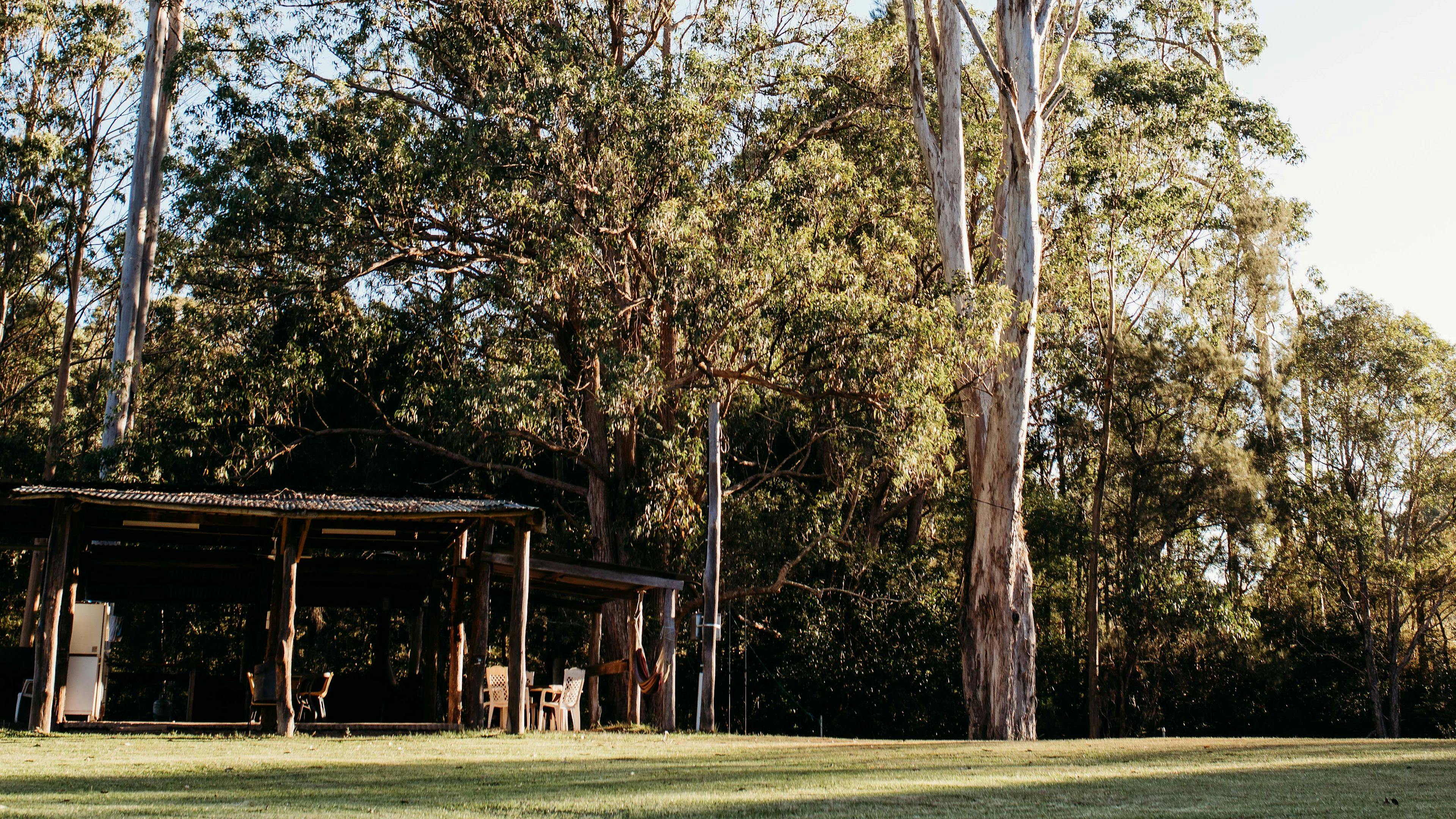 Bush Paddock near Stroud