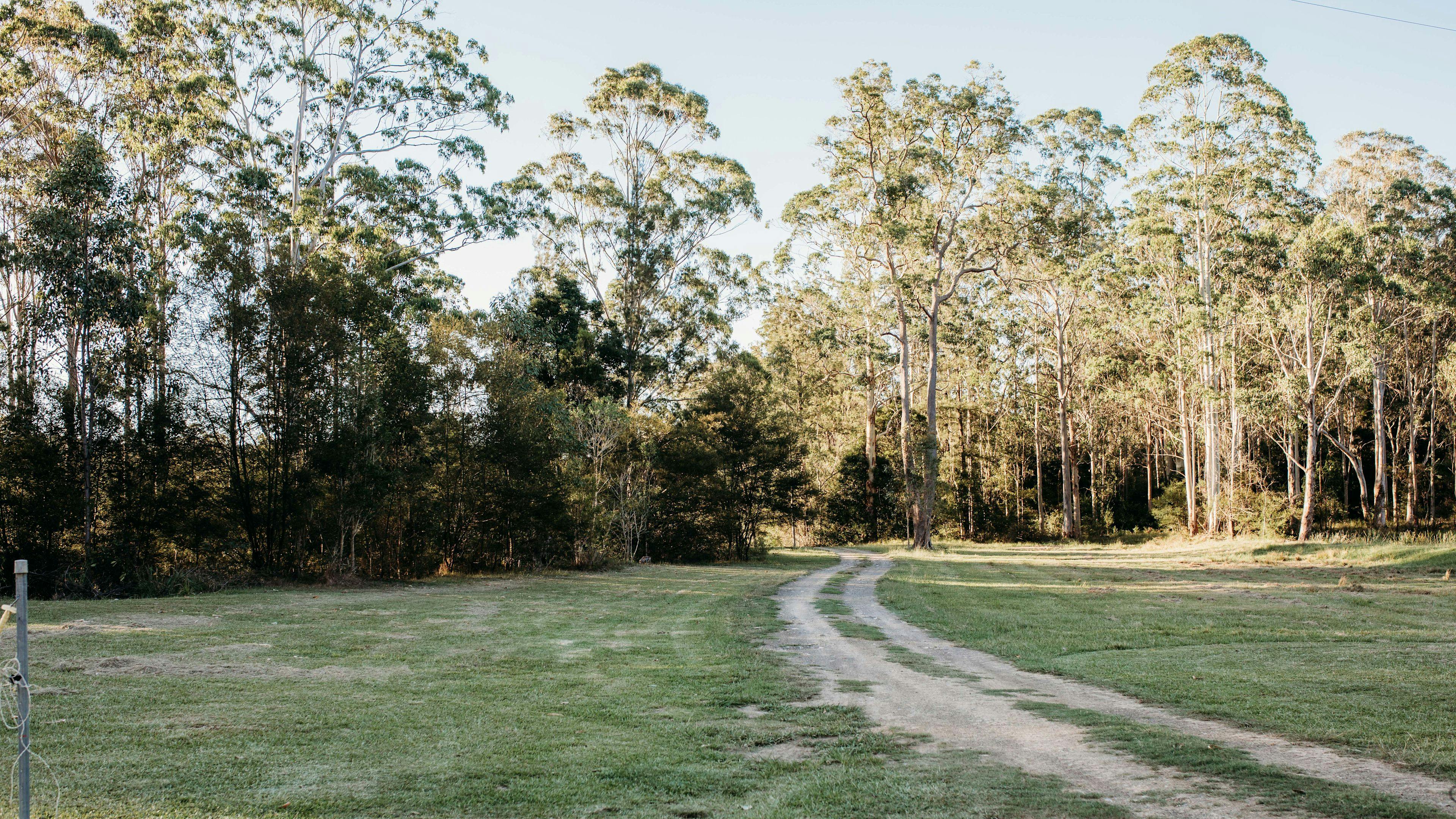 Bush Paddock near Stroud