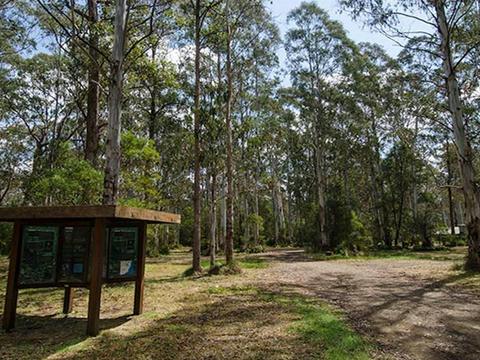 Brushy Mountain campground
