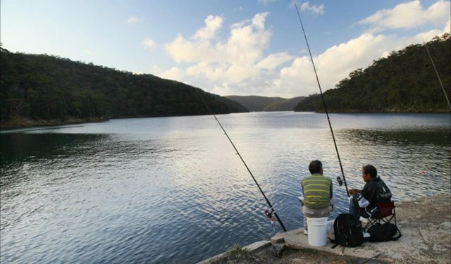 d'Albora Marinas at Akuna Bay