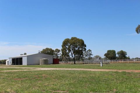 Boggabri Showground