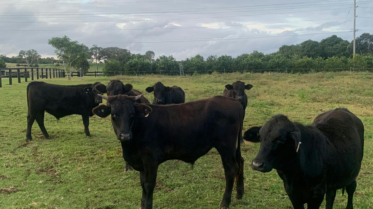 Calbria Farm