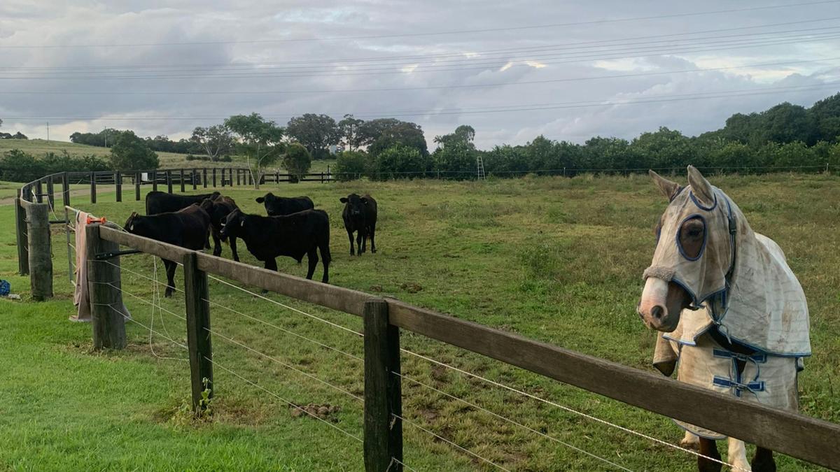 Calbria Farm