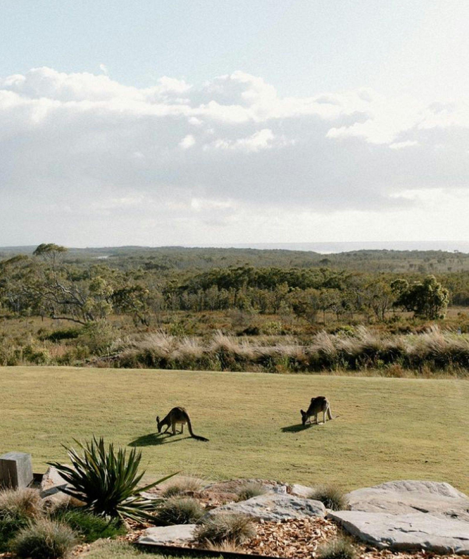Boketto Brooms Head accommodation