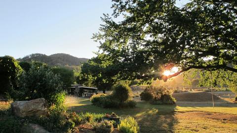 Chesleigh Homestead