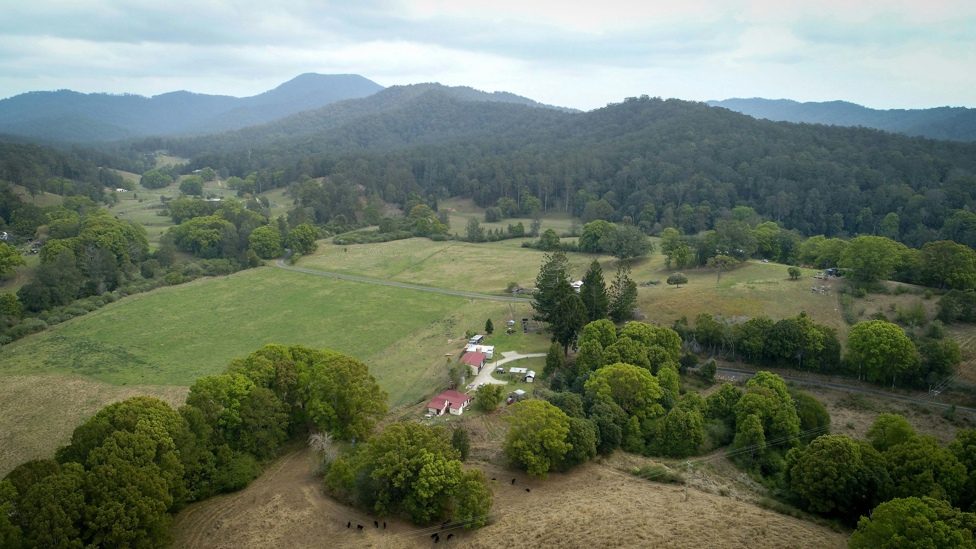Bunya Farm Bellingen