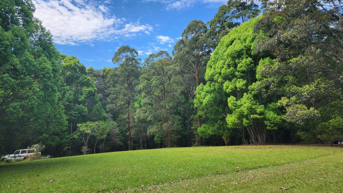 Mount Burrell