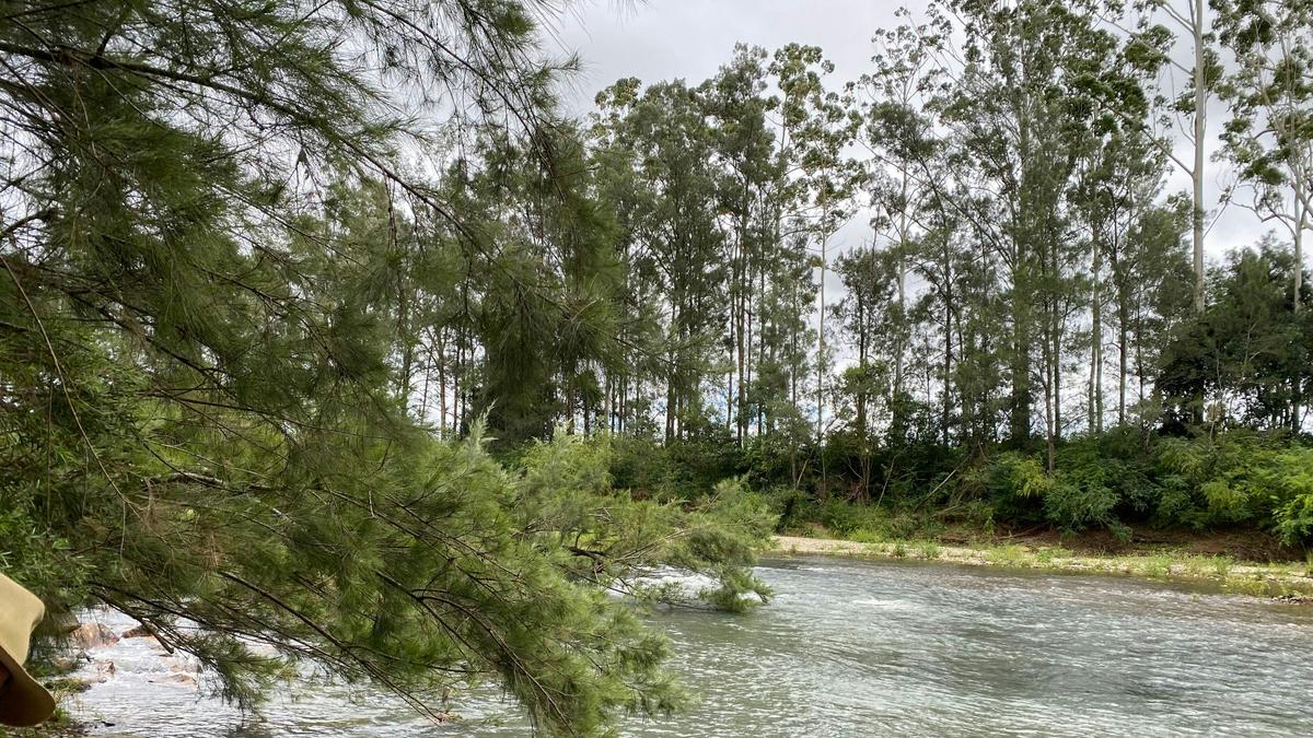 Bundilla River Camp