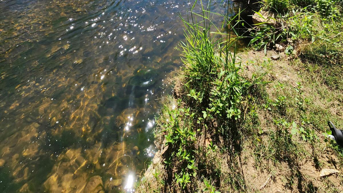 Bundilla River Camp
