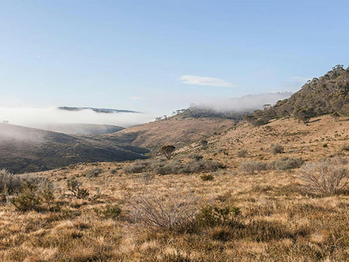 Bullocks Hill campground