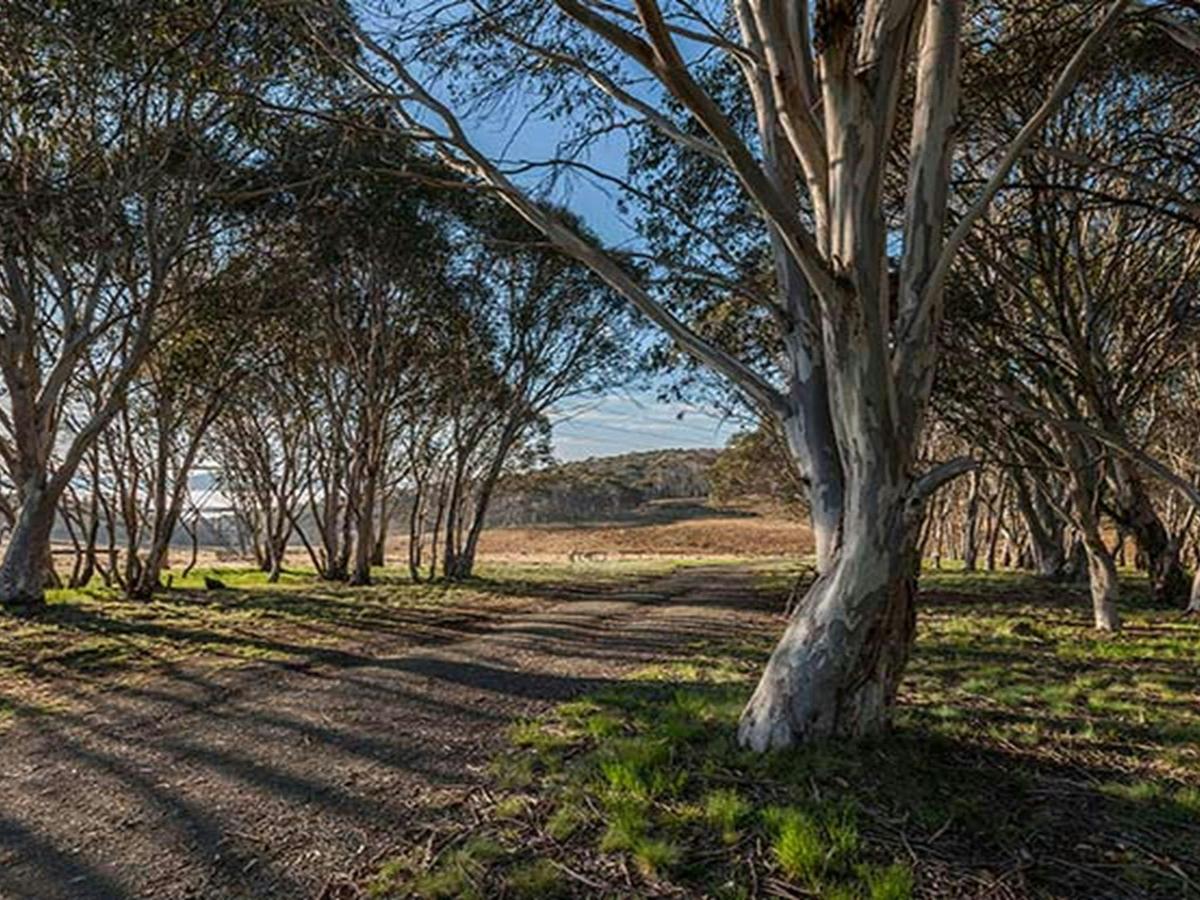 Bullocks Hill campground