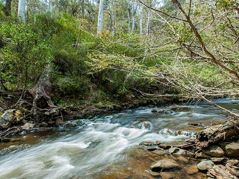 Buddong Falls campground