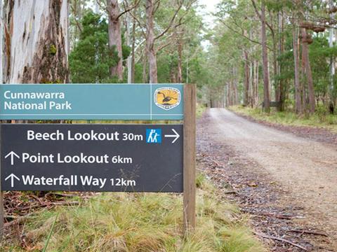 Beech lookout