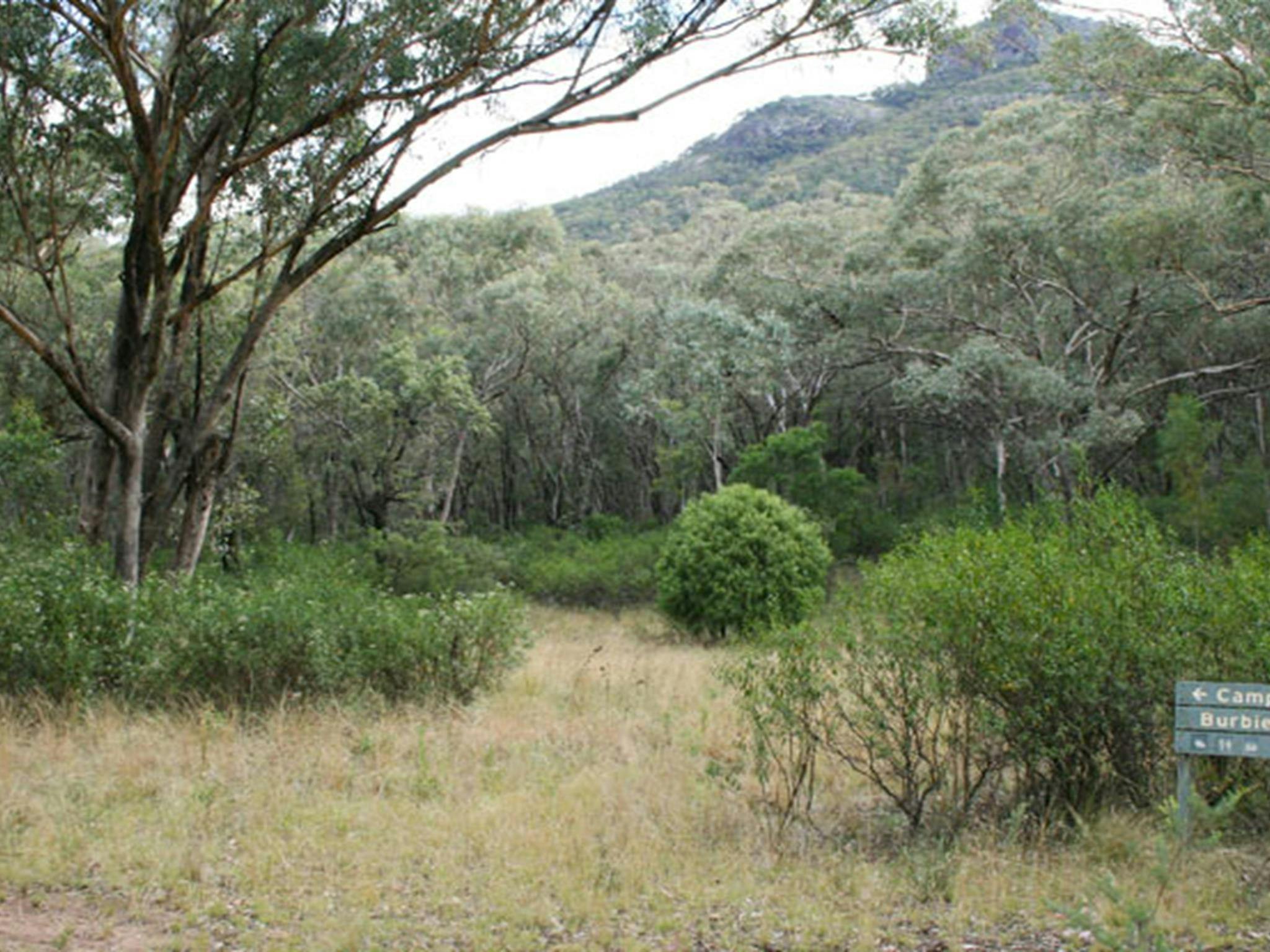 Burbie Camp, Warrumbungle National Park. Photo: OEH