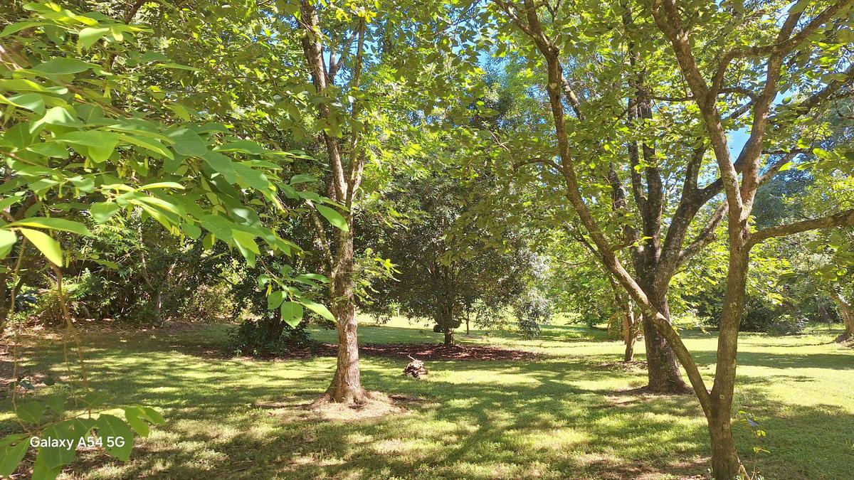 Burringbar Camping