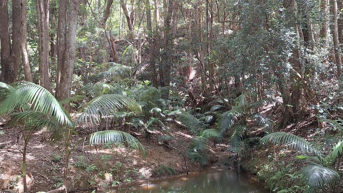 Burringbar Camping
