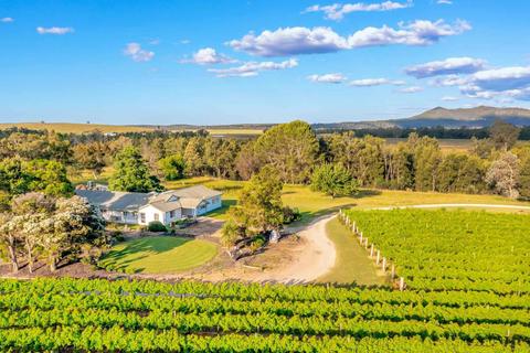 Broke in the Vines