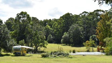 Bunyip's Camp