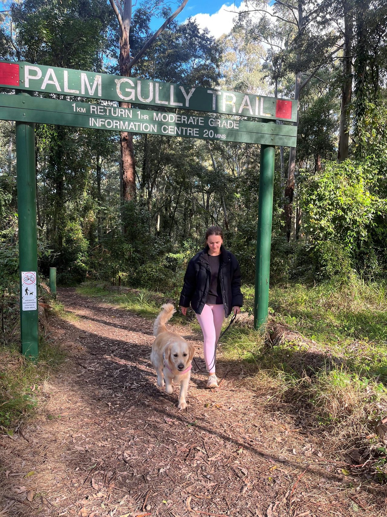 Bring your best friend on your walk in Cumberland State Forest